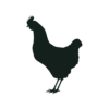 Silhouette of a chicken