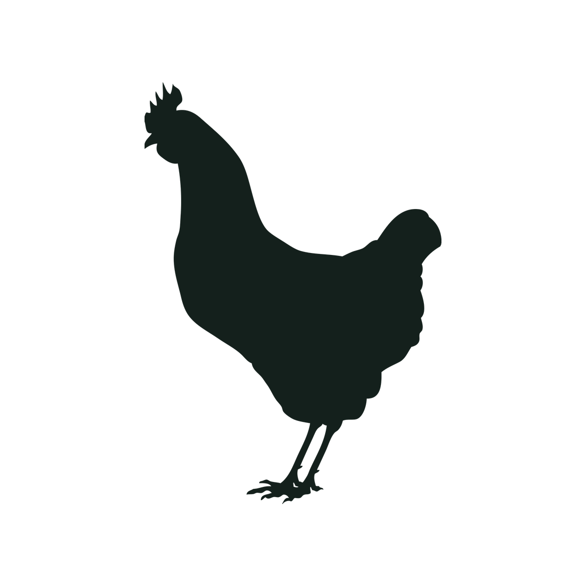 Silhouette of a chicken