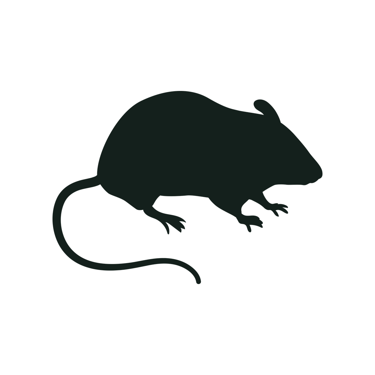 Silhouette of a mouse