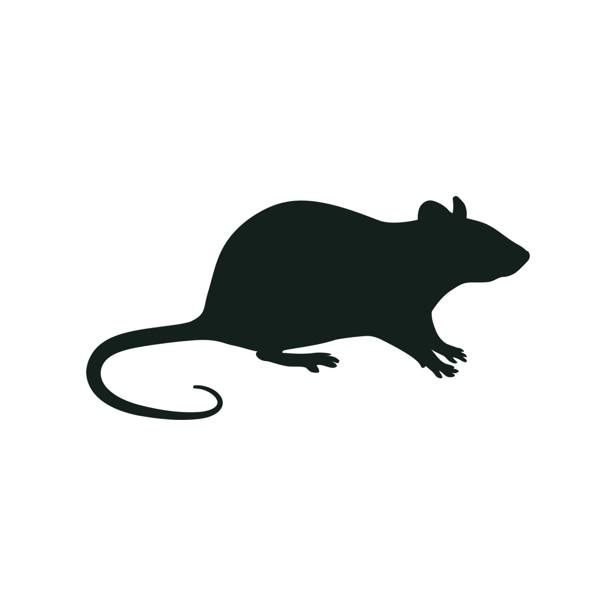 Silhouette of a rat